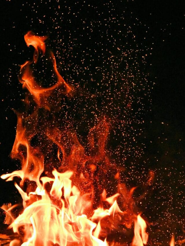 Vivid orange flames and sparks dance against a mysterious black backdrop.