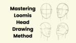Mastering Andrew-Loomis Head Drawing Method (2025)