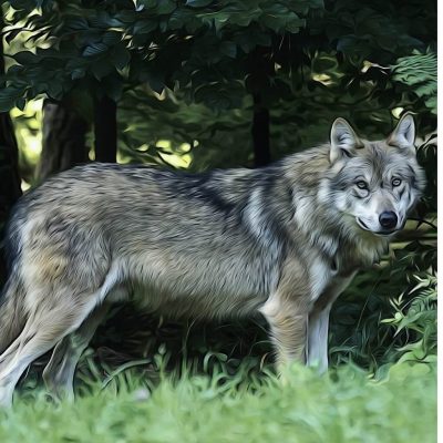 oil painting of a dog standing on a grass